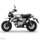 MONKEY CHROME LIMITED EDITION ������ǥ� �軰�� �ǽ�����