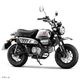 MONKEY CHROME LIMITED EDITION ������ǥ� �軰�� �ǽ�����