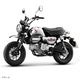 MONKEY CHROME LIMITED EDITION ������ǥ� �軰�� �ǽ�����