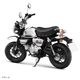 MONKEY CHROME LIMITED EDITION ������ǥ� �軰�� �ǽ�����
