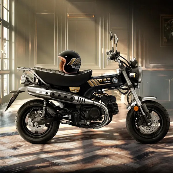 DAX125 ROYAL LIMITED EDITION ������ǥ�