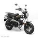 DAX125 ROYAL LIMITED EDITION ������ǥ�