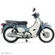 SUPER CUB (BT)��������ǥ롡