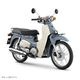 SUPER CUB (BT)��������ǥ롡
