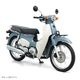 SUPER CUB (BT)��������ǥ롡