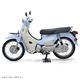 SUPER CUB (BT)��������ǥ롡