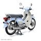 SUPER CUB (BT)��������ǥ롡