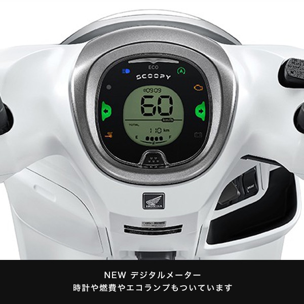 SCOOPY  ���ꥷ�ʥ�����롡������ǥ� 
