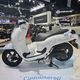 SCOOPY  ���ꥷ�ʥ�����롡������ǥ� 