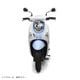 SCOOPY  ���ꥷ�ʥ�����롡������ǥ� 
