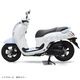 SCOOPY  ���ꥷ�ʥ�����롡������ǥ� 