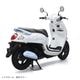 SCOOPY  ���ꥷ�ʥ�����롡������ǥ� 