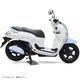 SCOOPY  ���ꥷ�ʥ�����롡������ǥ� 