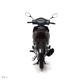 Wave125i�����㥹�ȡ�CR�ˡ�������ǥ�