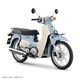 SUPER CUB (BT)��������ǥ� SB�������� TypeX