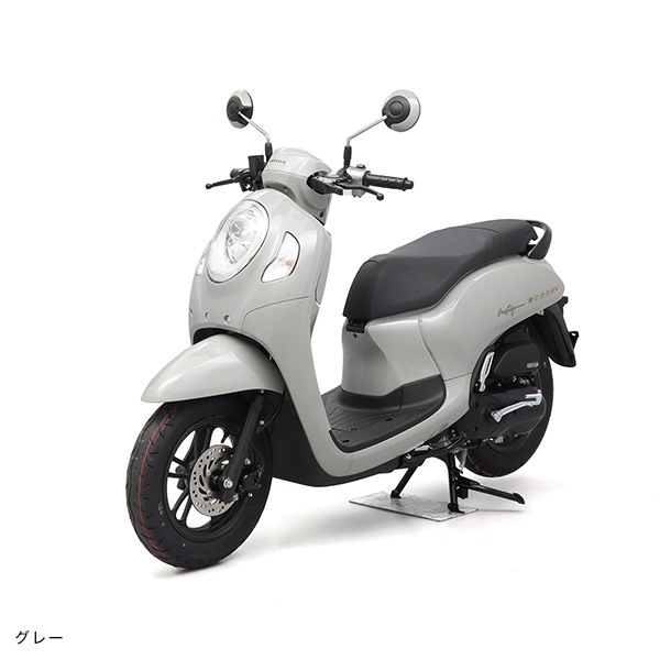 Scoopy���ץ쥹�ơ�������TR�ˡ�������ǥ�