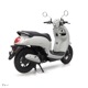 Scoopy���ץ쥹�ơ�������TR�ˡ�������ǥ�