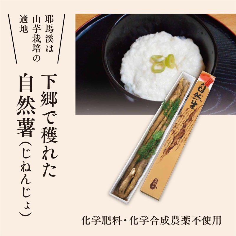 ������(���ե�)���������ߡ�