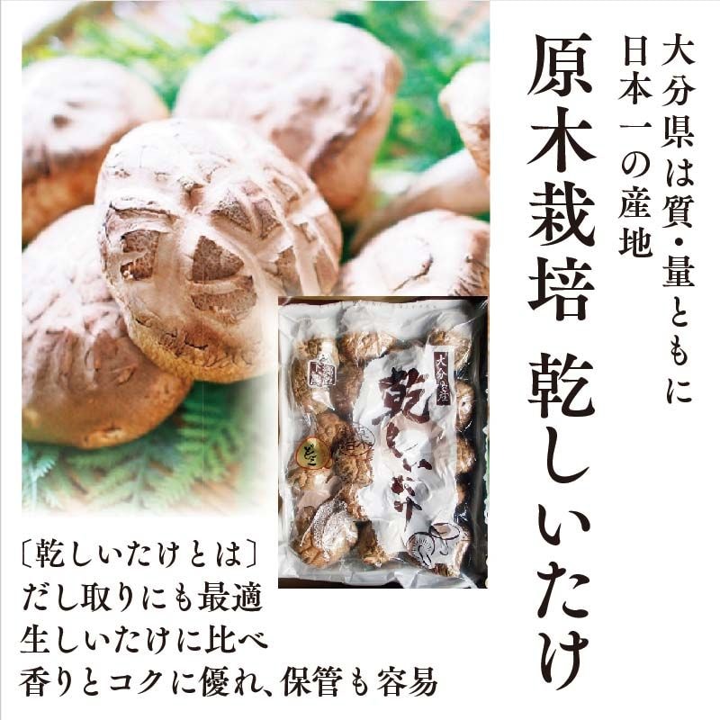 どんこ椎茸 大分県産　500g どんこ 椎茸 500g 大分県産 | 小林海苔店【公式】