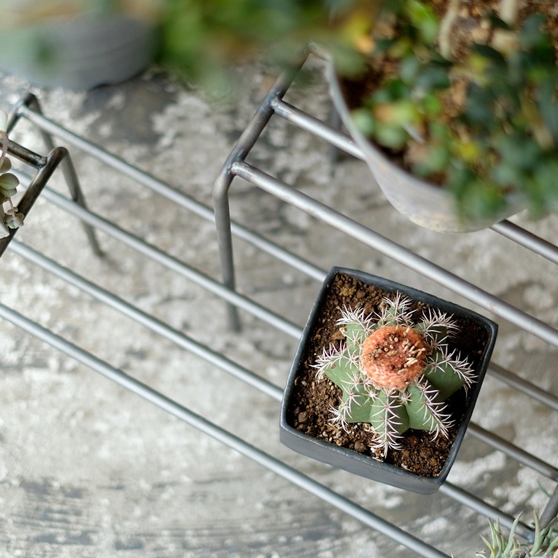 鉢・プランター KNOP plant stands 2 pieces set 植物を引き立てるワイドタイプのプランタースタンド KNOP plant
