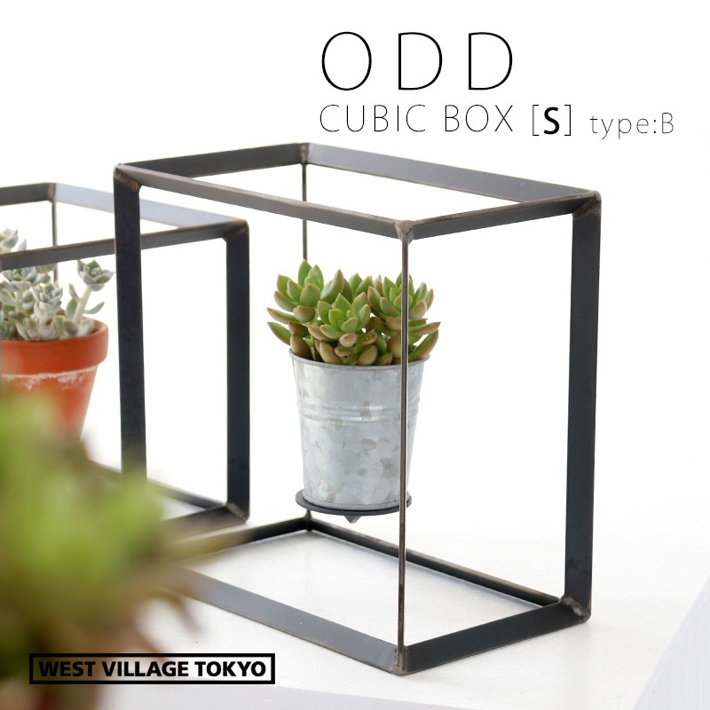 見せる収納に最適！ODD CUBIC BOX [S] タイプB ディスプレイボックス