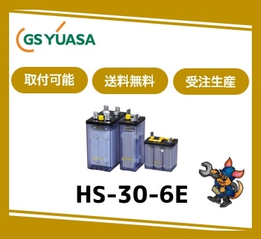 ［GSユアサ］ HS-30-6E （6V 30Ah）受注生産/取付可 /送料無料 /送料無料