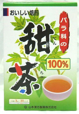 ���ܴ��� ż��(3g��20��)