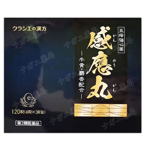 �ڥ��饷���۸��Ѷ����� ����� 4γ��30�� - �������͹��۹� ����2������ʡ�/����Τ�����