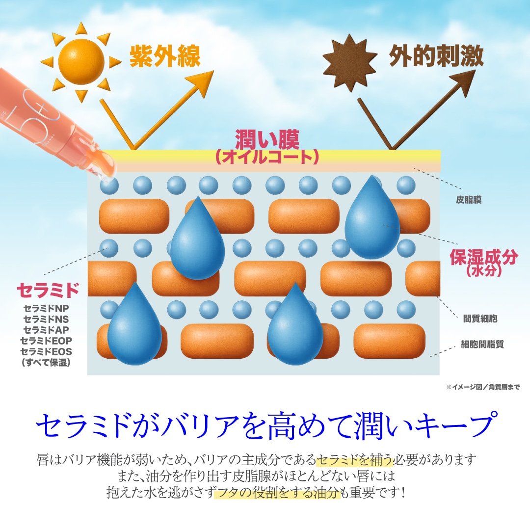 �֥���ƥ󥷥�UV ��åץ�����CathyDoll�ʥ��㥷���ɡ����