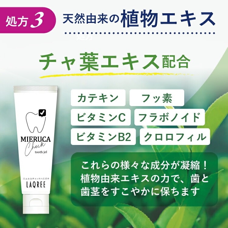 ���α��줬�ߥ��벽������򸫤ʤ�����᤭�ν�����Ȥ��失���롪�Ҷ�����ͤ���˳ڤ������᤭ʴ�Ҷ��Ϥ��������ͤ��᤭�Ĥ������Ū�ʥ����å����������ᡪ