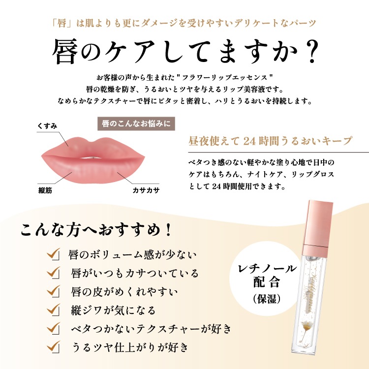 ֥եåץס֥եåץå󥹡Kailijumeiʥꥸᥤ/˥塼