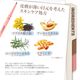 �֥ࡼ���֥����ѥ������ڥ󥷥��BabyBright�ʥ٥��ӡ��֥饤�ȡ�