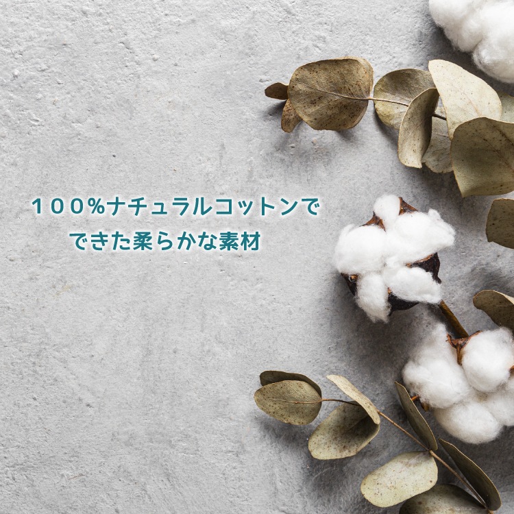 �������˥å����åȥ� �����ͥå� ���å� ������� ���ɥ꡼ ��Ǽ ��󥸥��꡼ �饯�꡼�ѥ�� ι�� ���� �������ɻ� ���� ���襤�� Ω������ �Х������� ���ɥ꡼ �̲� ���� £��ʪ ���ե� ������� ��ͤ��襤�� �ץ��ץ� SDGs