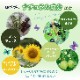 �ڥ������������ڡ����ѡ֥ۡȥ�󥹥롼����ȥѥ�������(10g) SRICHAND(���������) /�ޥ����Ǥ⤯����ˤ��������ꡪ����������Υե������ѥ�����