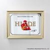 hide �ѥ֥ߥ顼 KING OF PSYBORG ROCK STAR (GOLD ver.)