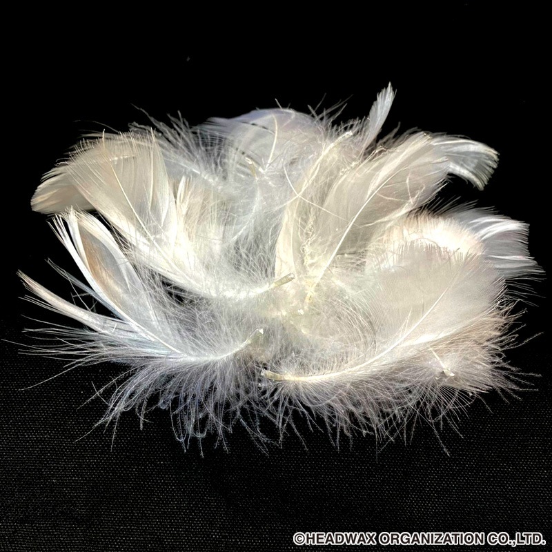 hide Memorial Feather Frame ��Last Session��