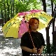PSYCHOBEAR A GO GO UMBRELLA�ʻ���