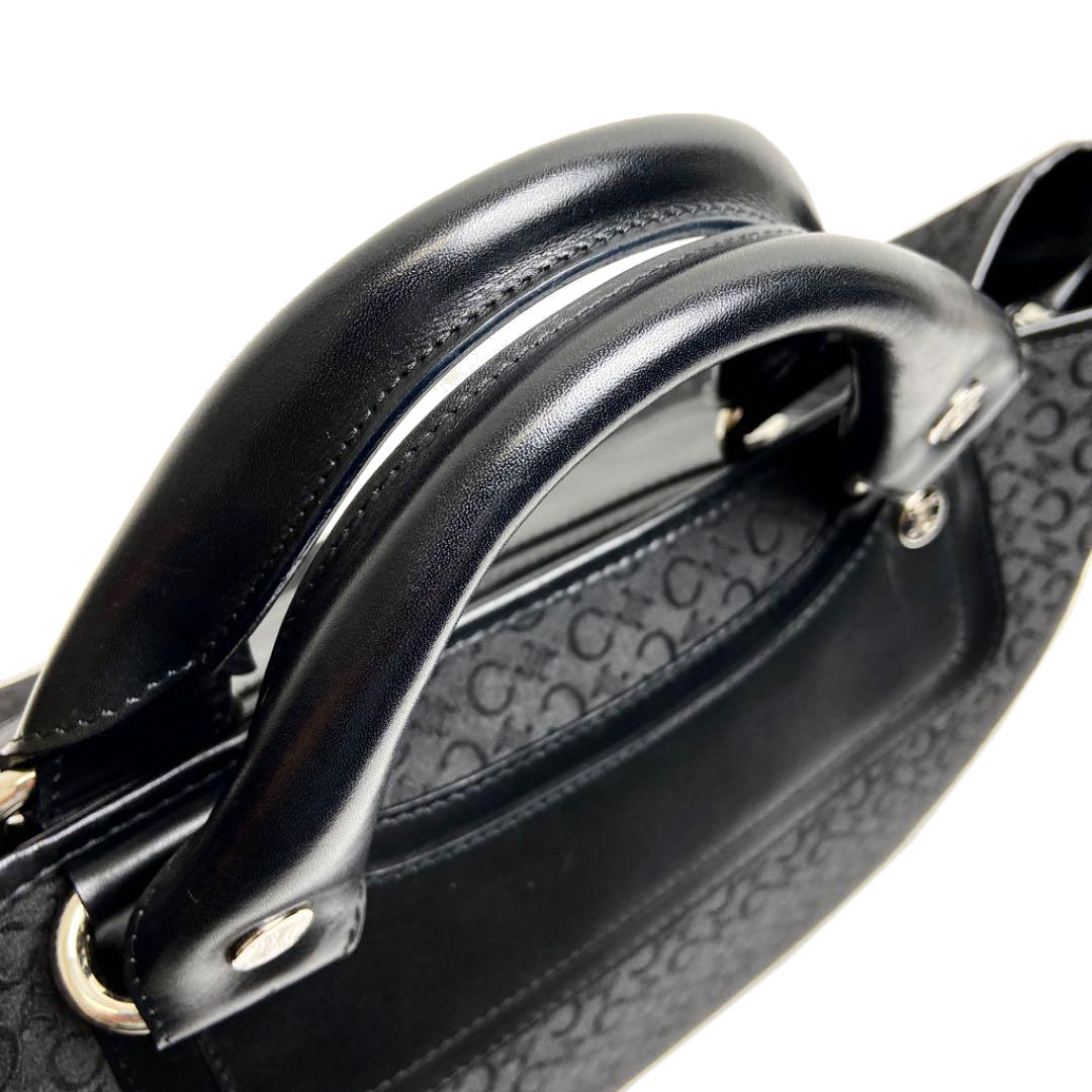 CELINE セリーヌ ブギーバッグ ハンドバッグ キャンバス レザー ブラック