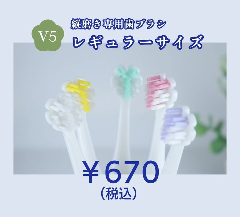 ���᤭���֥饷-Tate.- �쥮��顼������