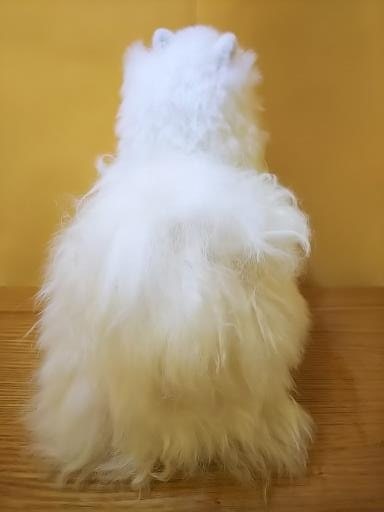 ʪΥ٥ӡѥ100ѡ꿴ϺǹդäդΥѥ̤20cmʥۥ磻ȡ