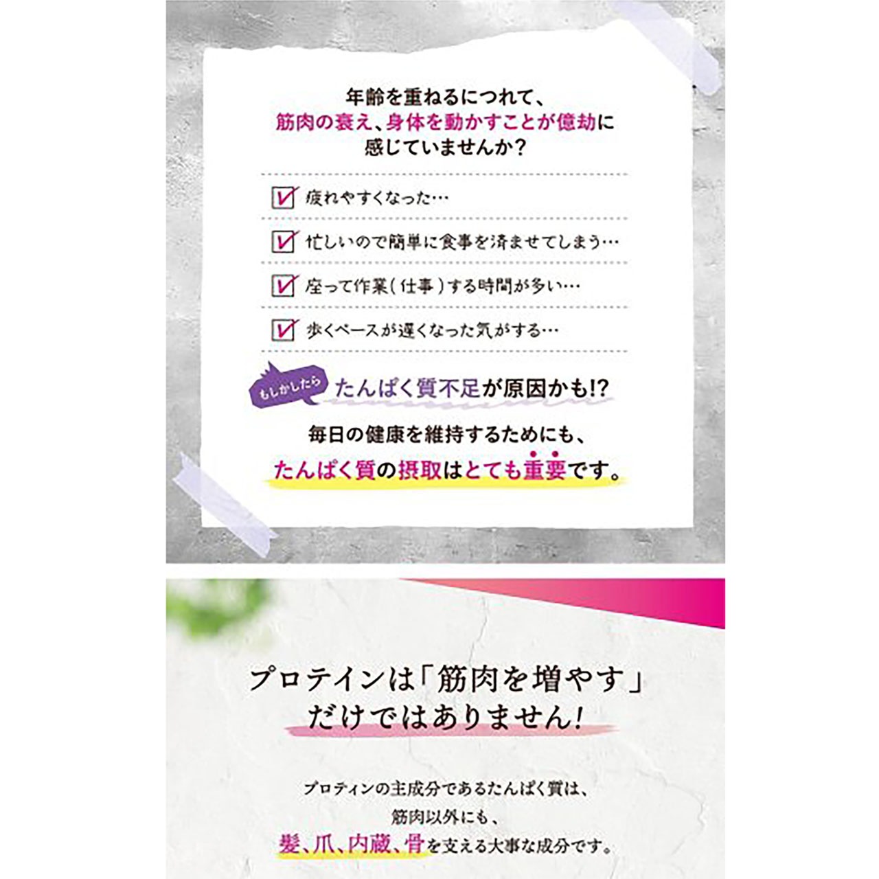 ��������ʡۡ����޻ճ�ȯ�� �ץ�󥹥ץ��ƥ���WPI <600g>