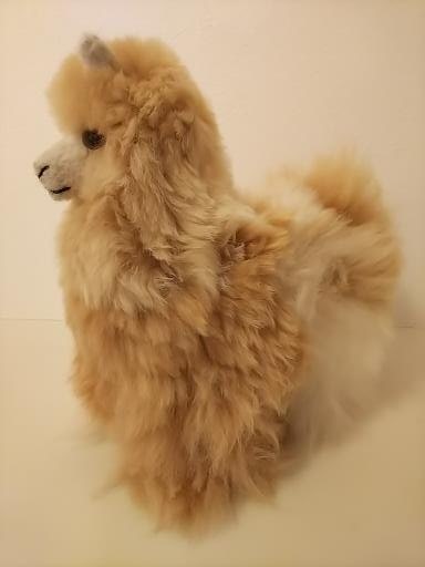 ��ʪ�Υ٥ӡ�����ѥ���100����Ѥο��꿴�Ϻǹ�դ�äդ�Υ���ѥ��̤������20cm�ʥߥå�����