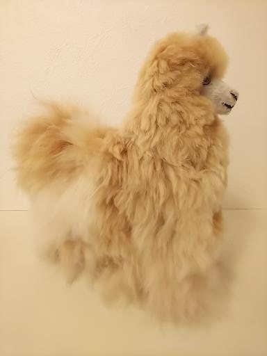 ��ʪ�Υ٥ӡ�����ѥ���100����Ѥο��꿴�Ϻǹ�դ�äդ�Υ���ѥ��̤������20cm�ʥߥå�����