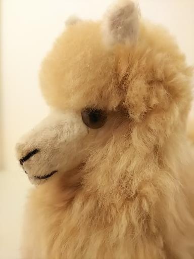 ��ʪ�Υ٥ӡ�����ѥ���100����Ѥο��꿴�Ϻǹ�դ�äդ�Υ���ѥ��̤������20cm�ʥߥå�����