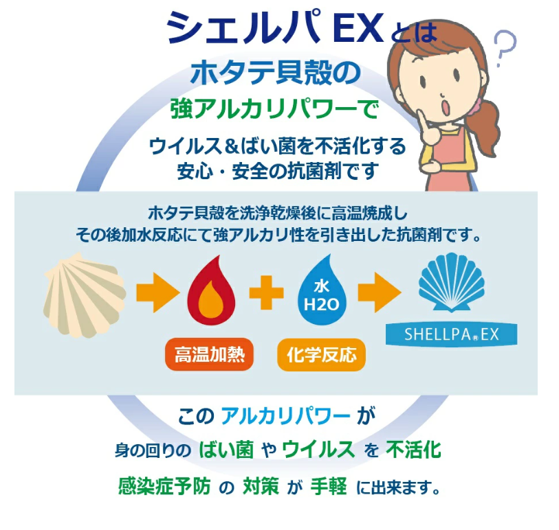 SHELLPAEXѣ쥹ץ졼