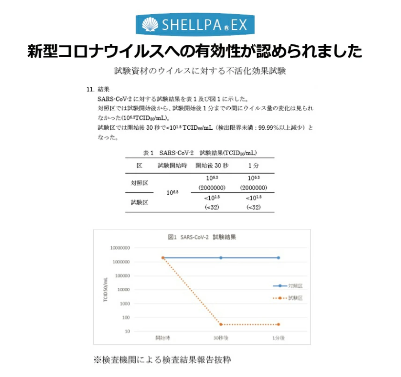 SHELLPAEXѣ쥹ץ졼