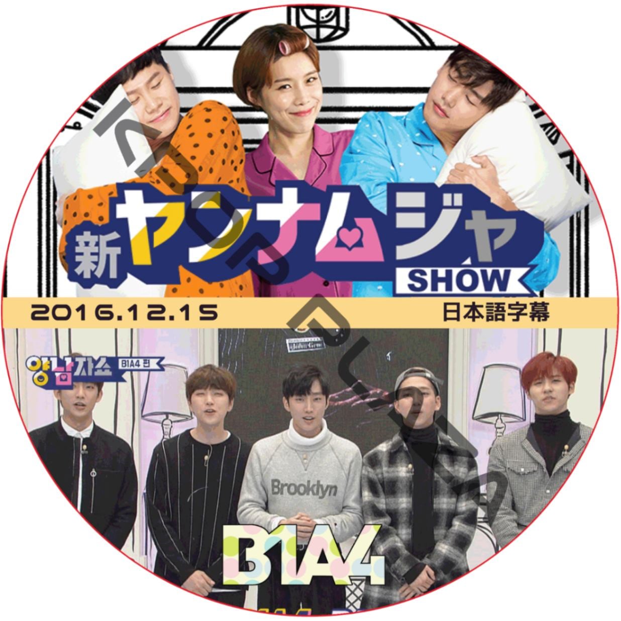 K-POP PLAZA】KPOP DVD 韓流グッズ 専門店 新大久保 KPOPDVD