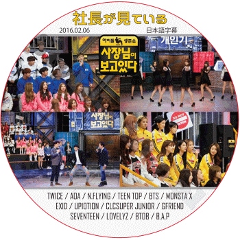 K-POP PLAZA】KPOP DVD 韓流グッズ 専門店 新大久保 KPOPDVD