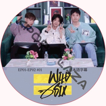 K-POP PLAZA】KPOP DVD 韓流グッズ 専門店 新大久保 KPOPDVD