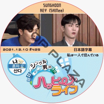 K Pop Plaza Kpop Dvd 韓流グッズ 専門店 新大久保 Kpopdvd